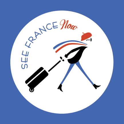 logo_final_SFN_type_Artboard 3